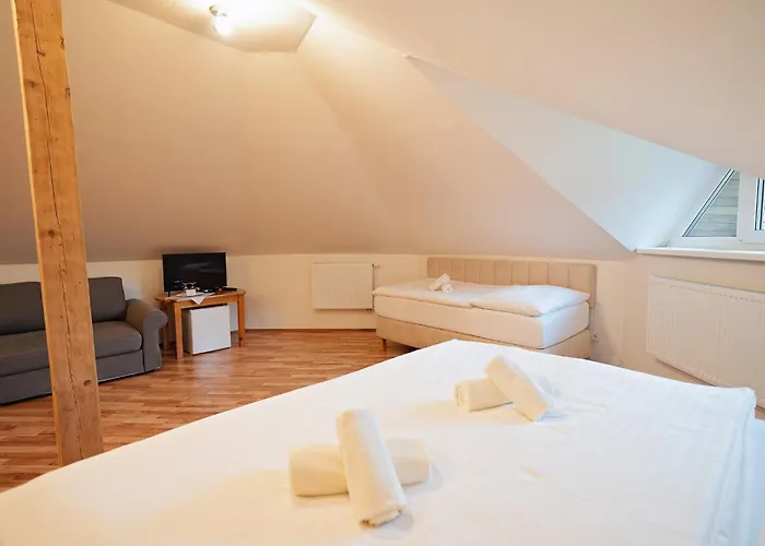 Penzion Kralov Pramen 3*